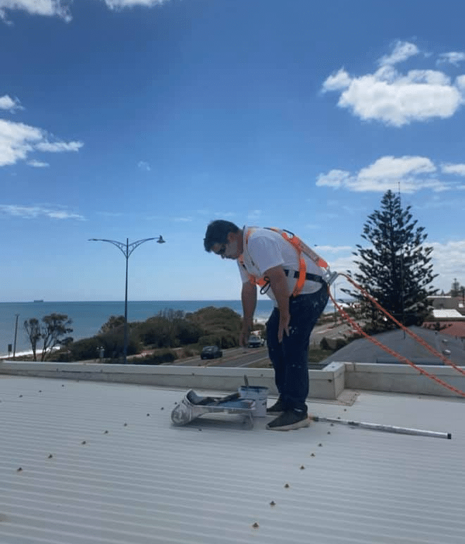 roof painter